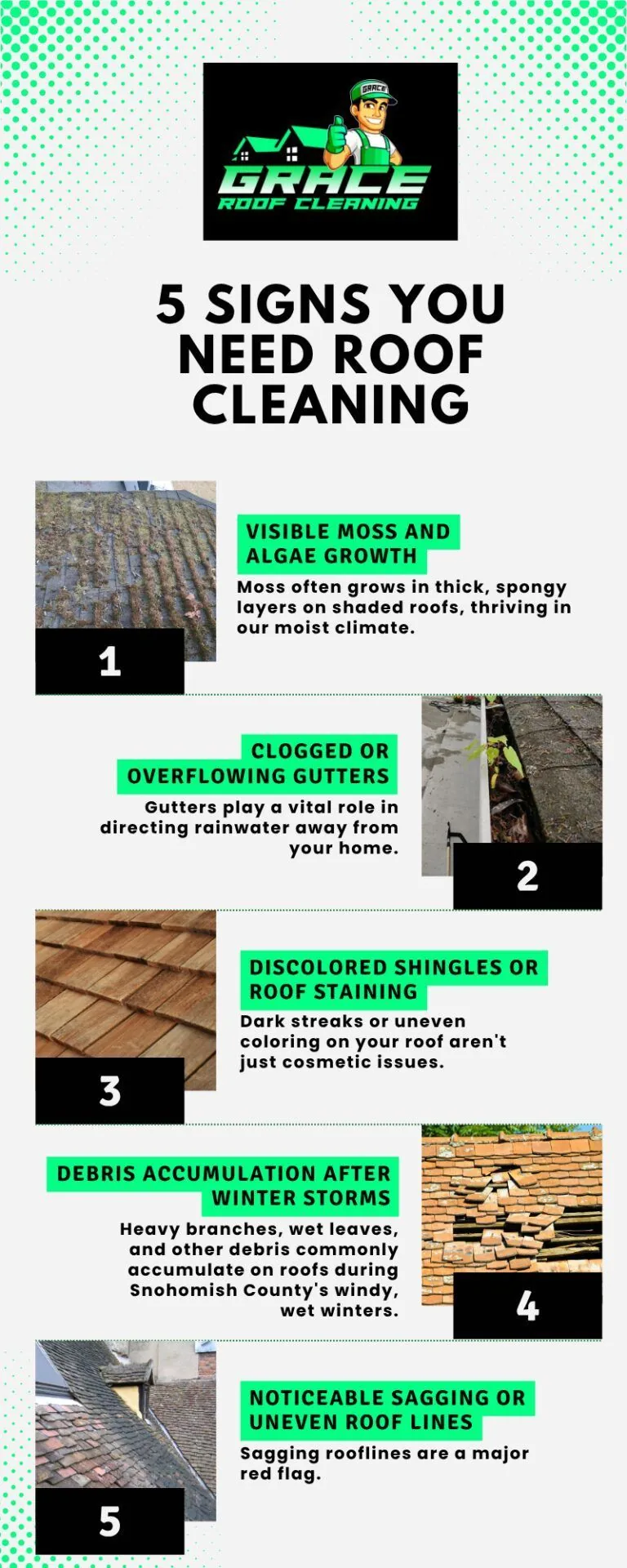 Infographic titled "5 signs you need roof cleaning," with five numbered signs on a white and green background.