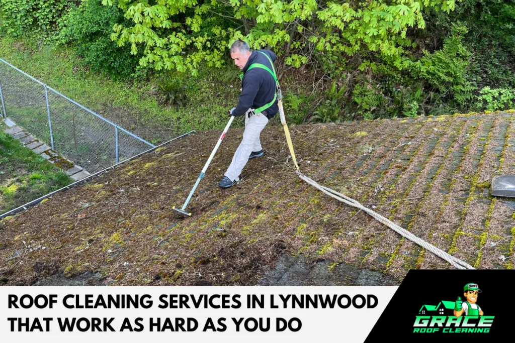 Roof cleaner on a sloped mossy roof using a hose, with text: "Roof Cleaning Services in Lynnwood That Work as Hard as You Do"