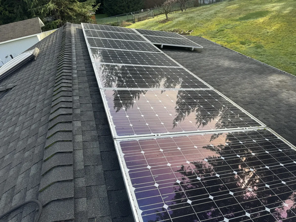 Row of clean solar panels reflecting trees on a composition shingle roof