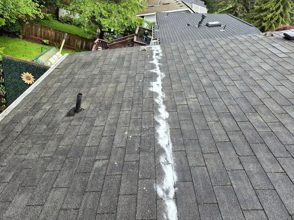 Asphalt shingle roof with white powdery streak and vent pipe after cleaning