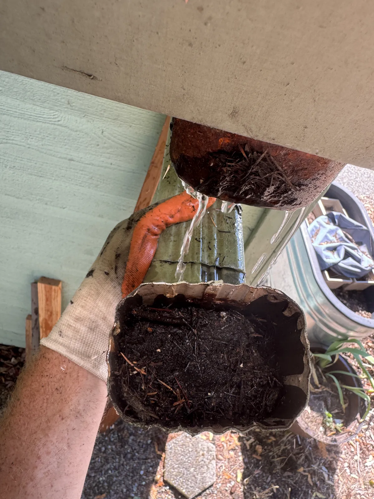 Detached downspout elbow packed with wet leaves and sludge while water overflows from the open end