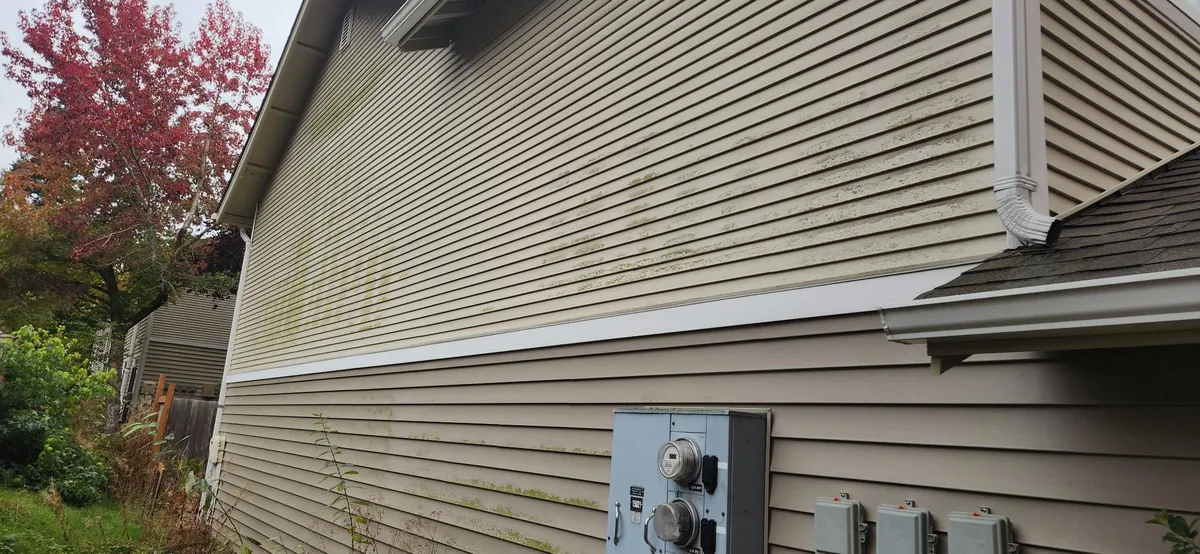 Beige lap siding wall with green algae speckling above the utility meters before cleaning