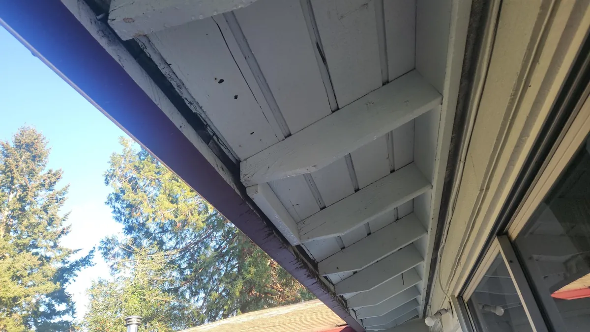 The same maroon gutter seated tight and straight against the white fascia