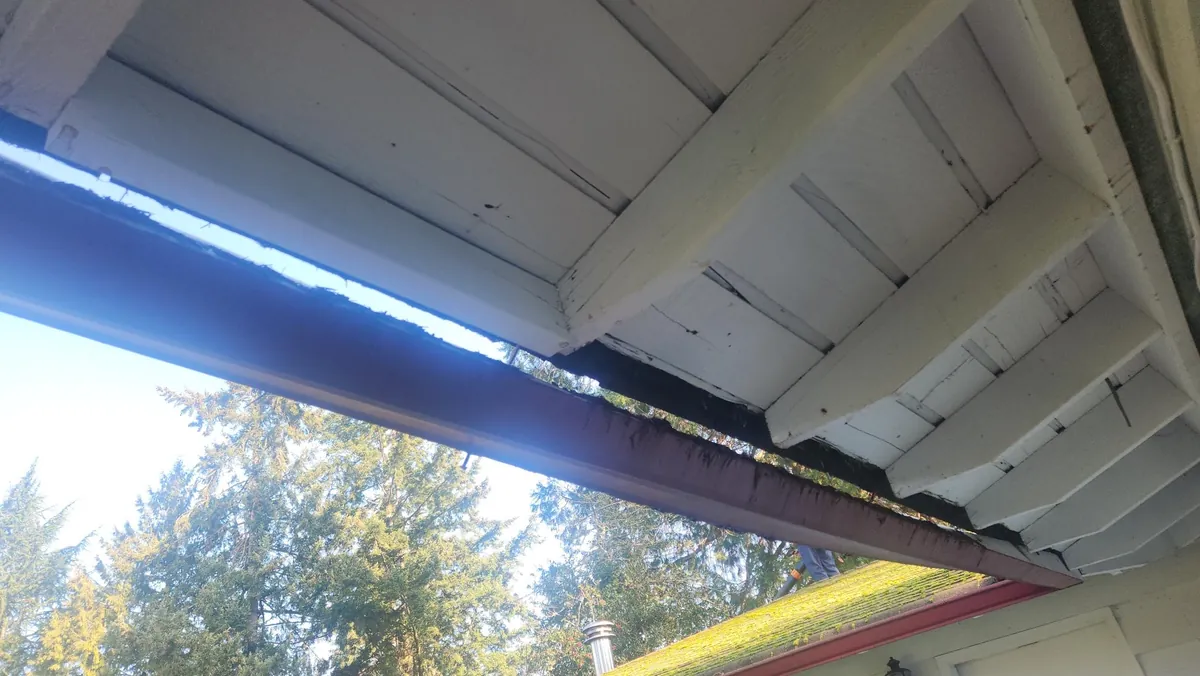 Maroon gutter pulled away from the white fascia leaving a gap under the eave