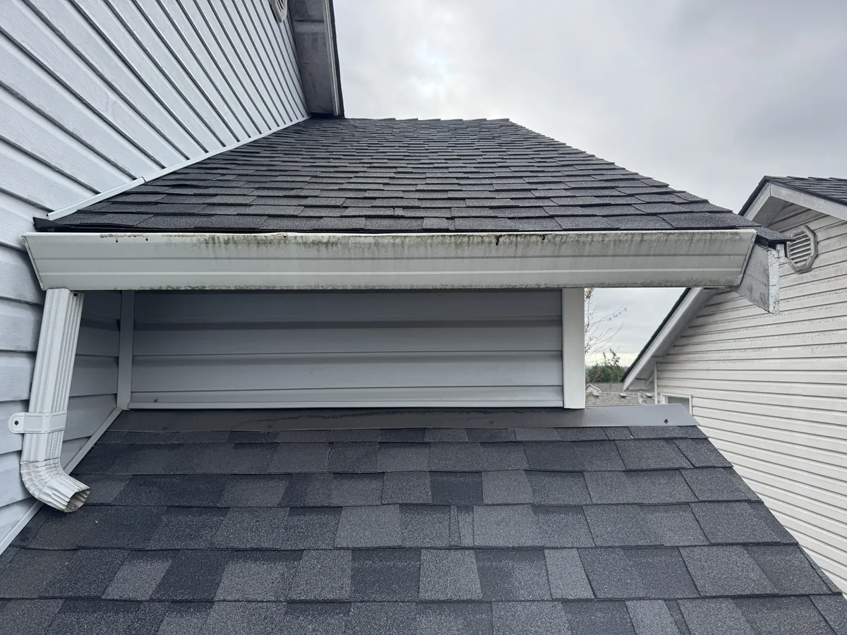 White gutter face streaked with dark drip stains on a gray sided house before cleaning
